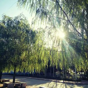 小🐔🐔伸进🈲🔞梅花十三
